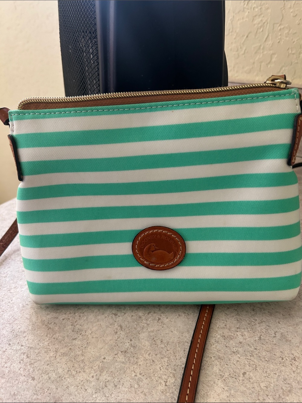 Dooney & Bourke Mint Green and White Striped Crossbody Bag